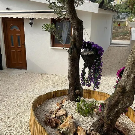 Sandra - Trogir